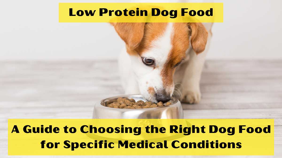 Low Protein Dog Food