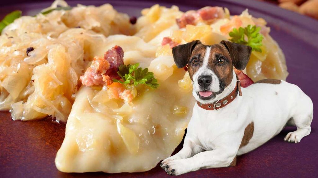 Can Dogs Eat Pierogies