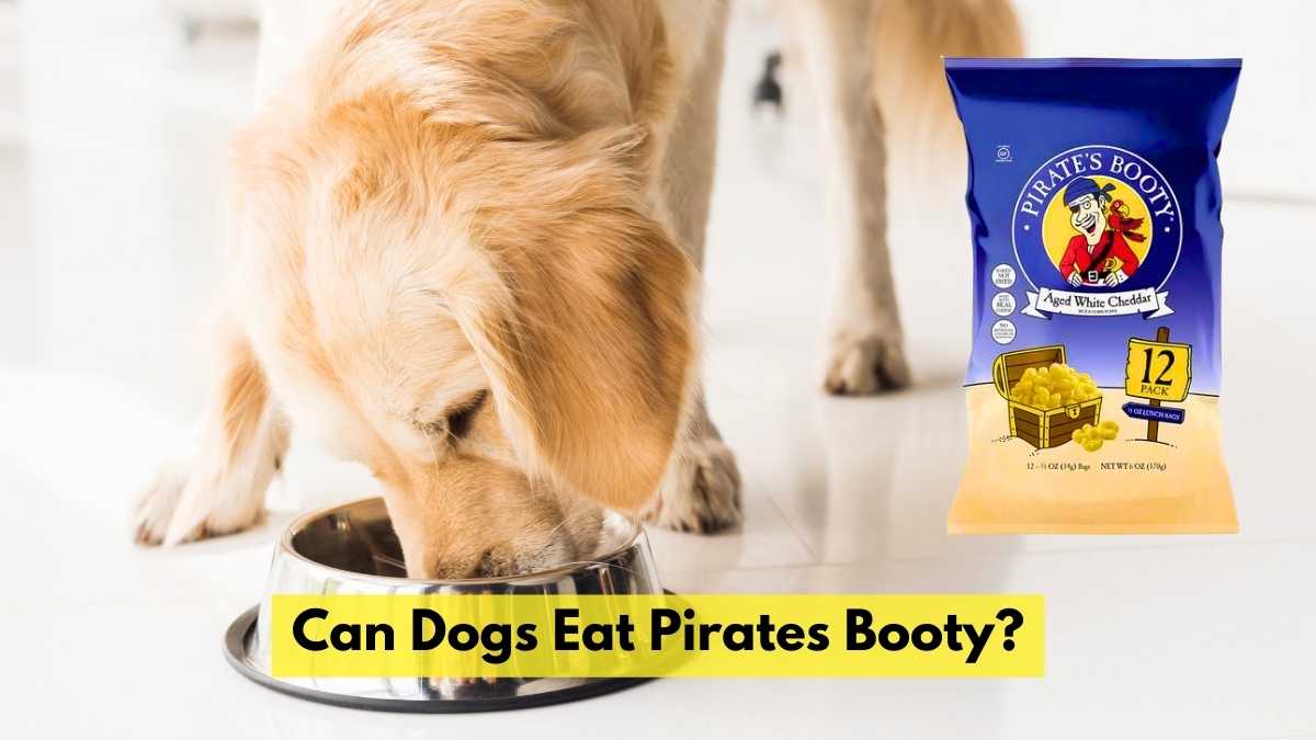 Can Dogs Eat Pirates Booty